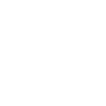 Walking Monkey
