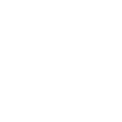 Walking Monkey