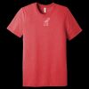 Unisex Triblend Tee (same day) Thumbnail
